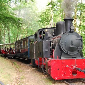 1er juillet – 5 juillet Train d’Abreschviller