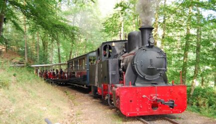 1er juillet – 5 juillet Train d’Abreschviller