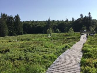 29 juillet –  4 août Jardin du Haut Chitelet