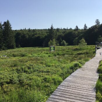 29 juillet –  4 août Jardin du Haut Chitelet