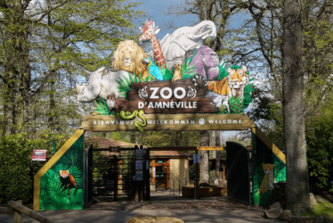 8 juillet – 12 juillet Zoo d’Amnéville