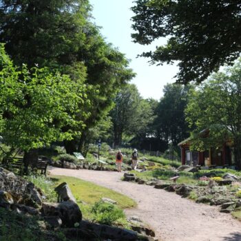23 Septembre – 27 Septembre Le jardin du haut Chitelet