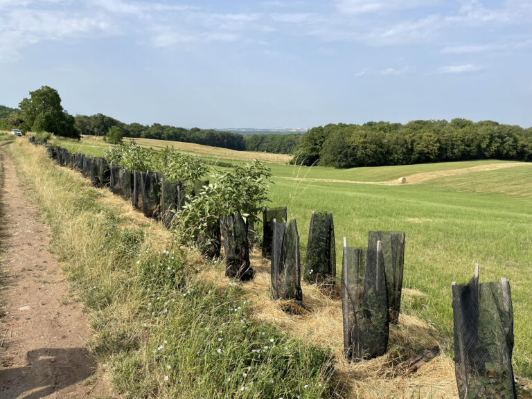 Pacte pour la ruralité 4