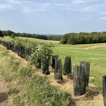 Pacte pour la ruralité 4