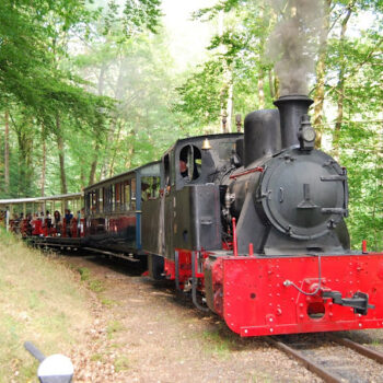 14 Avril – 20 Avril Train d’Abreschviller