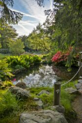 Du lundi 28 juillet au vendredi 1er août – Jardins du Haut Chitelet
