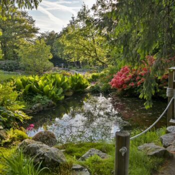 Du lundi 26 au vendredi 30 mai – Jardin d’Altitude du Haut Chitelet