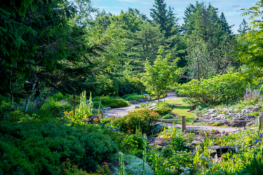 Du lundi 16 juin au vendredi 20 juin 2025 – Jardins d’altitude du Haut Chitelet