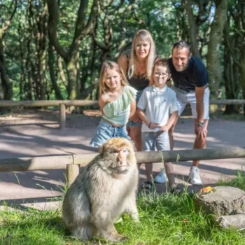 Du mardi 15 au dimanche 20 juillet- La montagne des singes