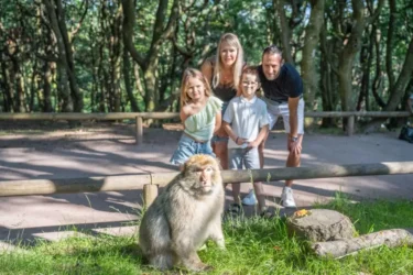 Du lundi 4 août au vendredi 8 août- La montagne des singes