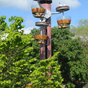 Du lundi 30 mars au vendredi 03 avril – Cigoland