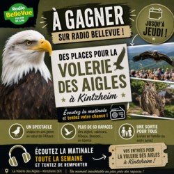 Du lundi 4 au jeudi 7 mai 2026-La volerie des Aigles