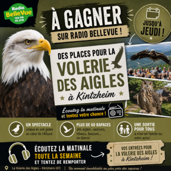Du lundi 4 au jeudi 7 mai 2026-La volerie des Aigles