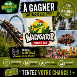 Du lundi 22  au vendredi 26 juin 2026  – Walygator