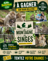 Du lundi 29 juin au vendredi 03 juillet – La montagne des singes