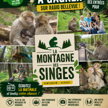 Du lundi 29 juin au vendredi 03 juillet – La montagne des singes