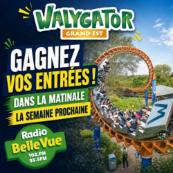 Du lundi 27 au vendredi 31 juillet 2026  – Walygator